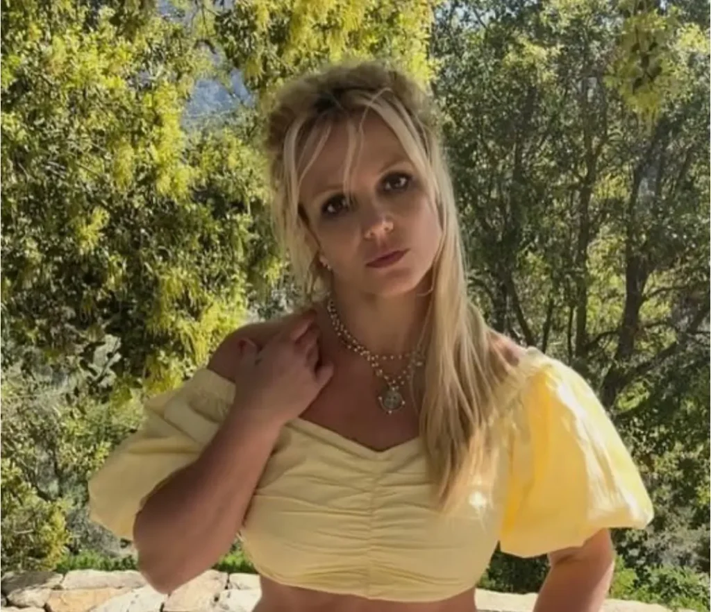 Britney Spears Vermögen