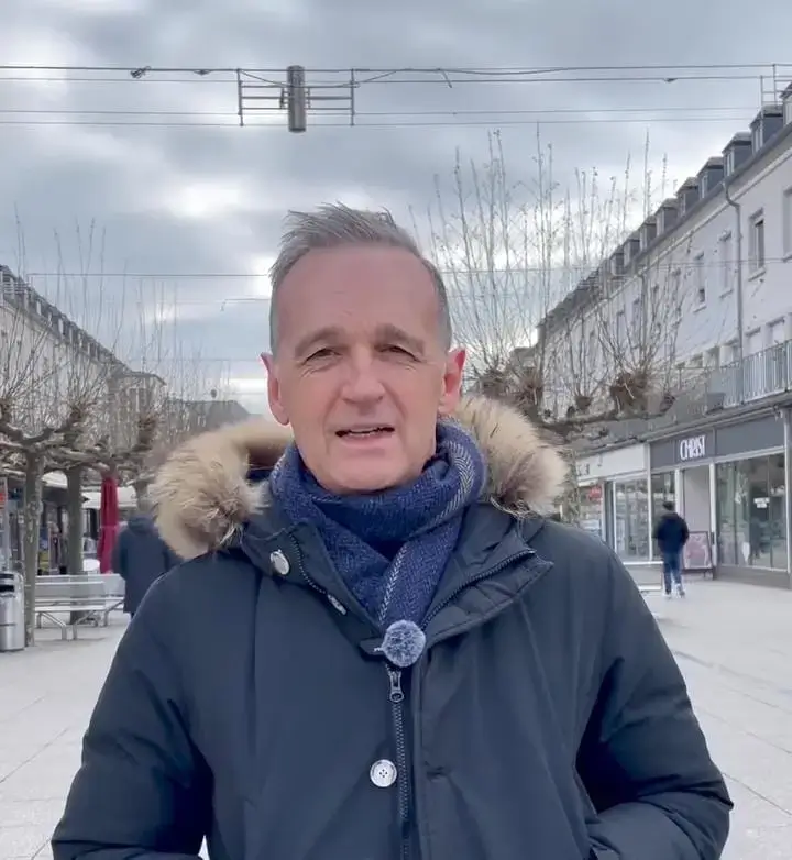 Die politische Laufbahn