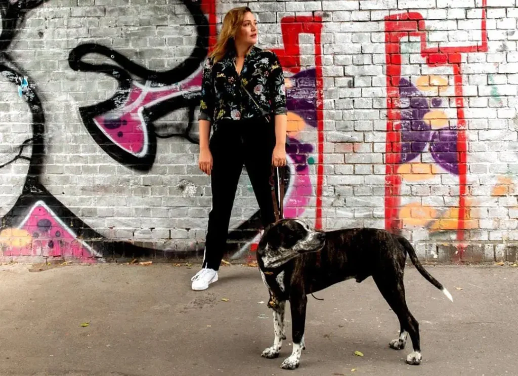 keine Krankheit bekannt